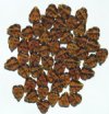 50 10x8mm Transparent Dark Topaz Leaf Beads